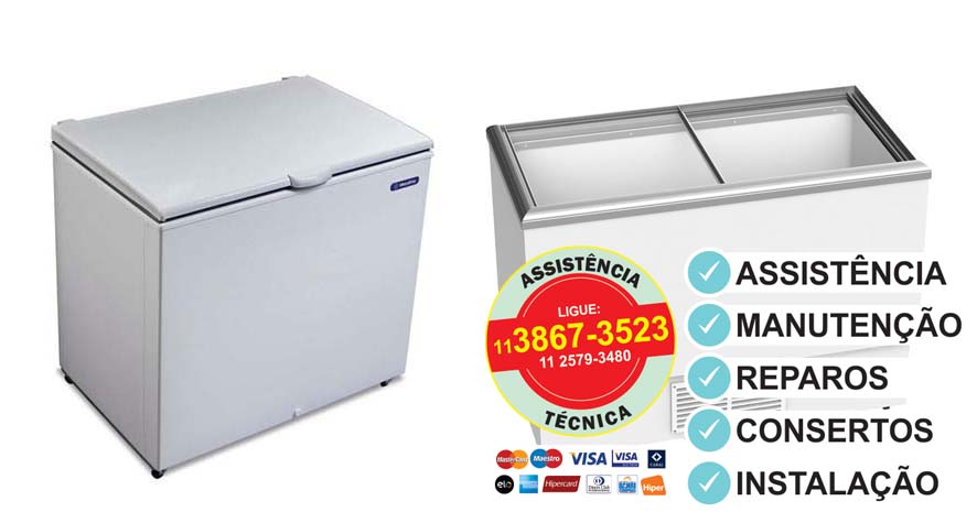 assistencia tecnica Freezer